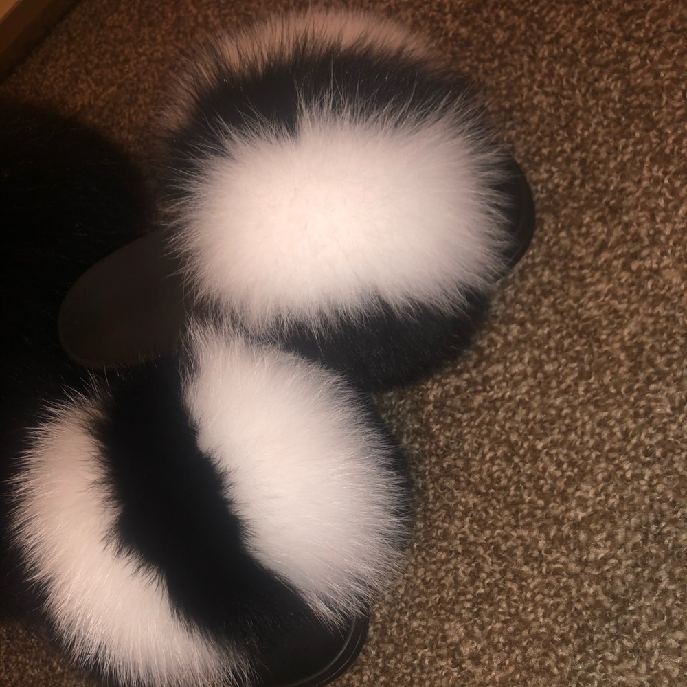 Fur slides - Picture 2 of 5